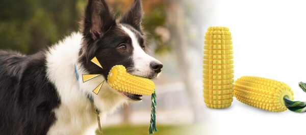 Dog Chew Toys 1920