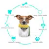 Dog Chew Toys 2