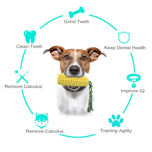 Dog Chew Toys 2