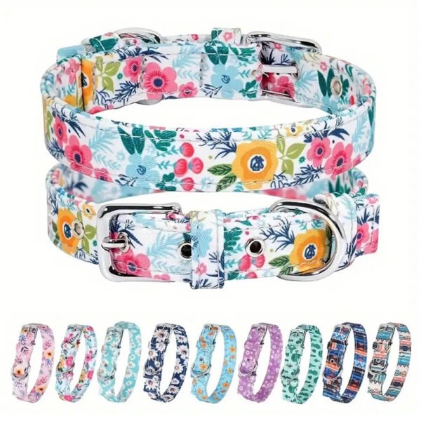 Dog Collar Luxury1