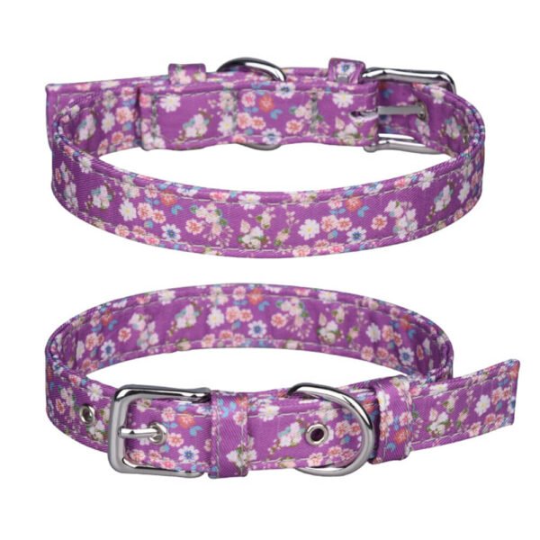 Dog Collar Luxury7