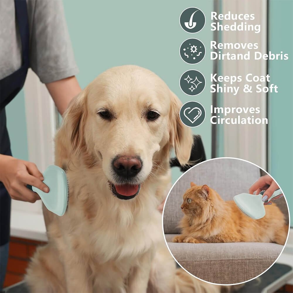 Dog Grooming Set 3