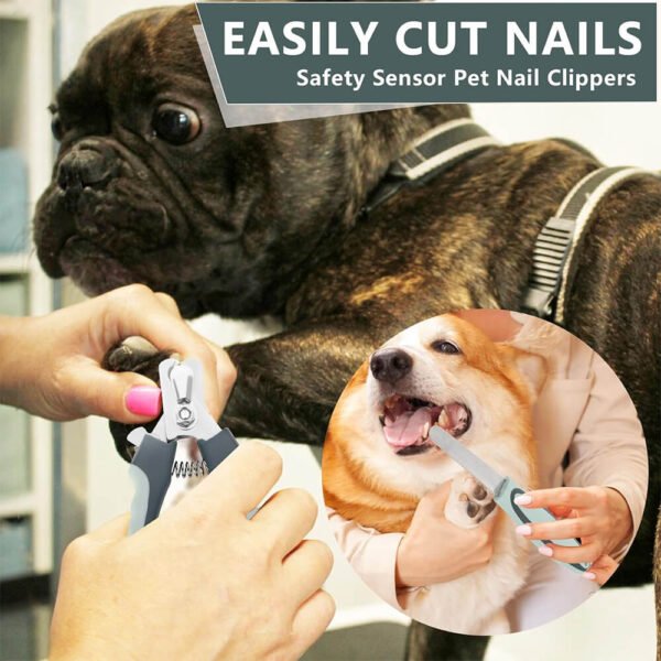 Dog Grooming Set 5 1