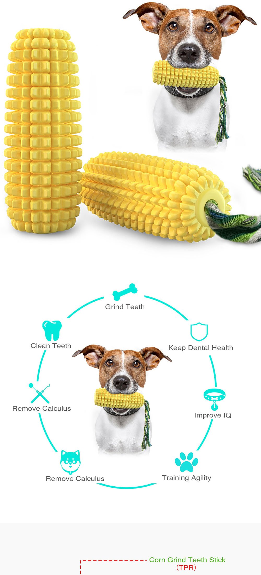 Interactive Dog Toys