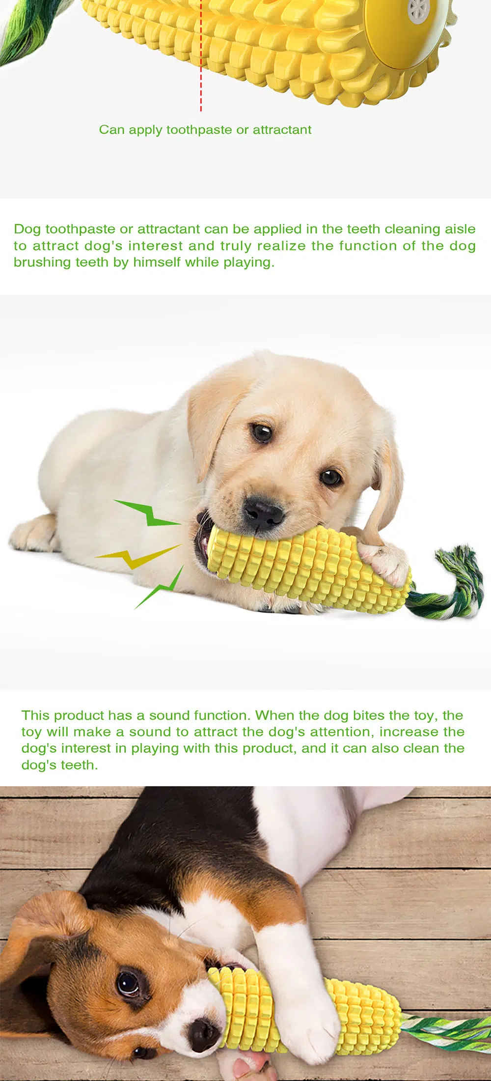 Interactive Dog Toys