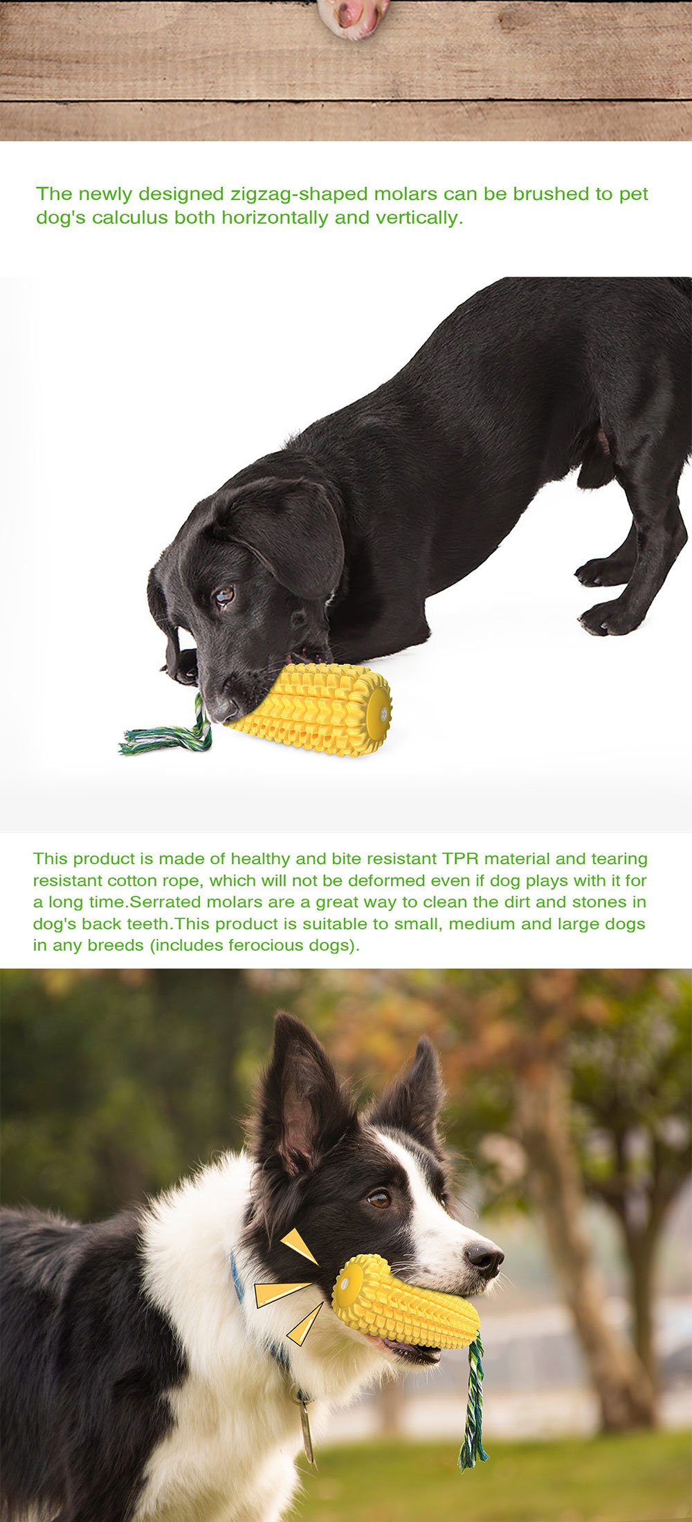 Interactive Dog Toys