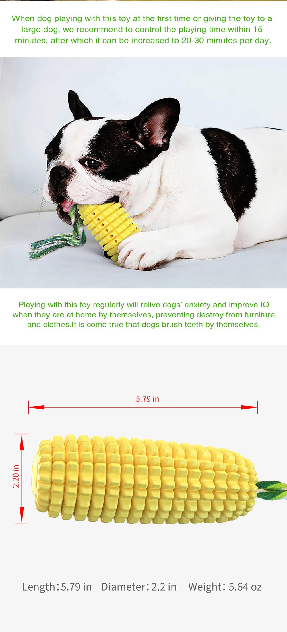 Interactive Dog Toys