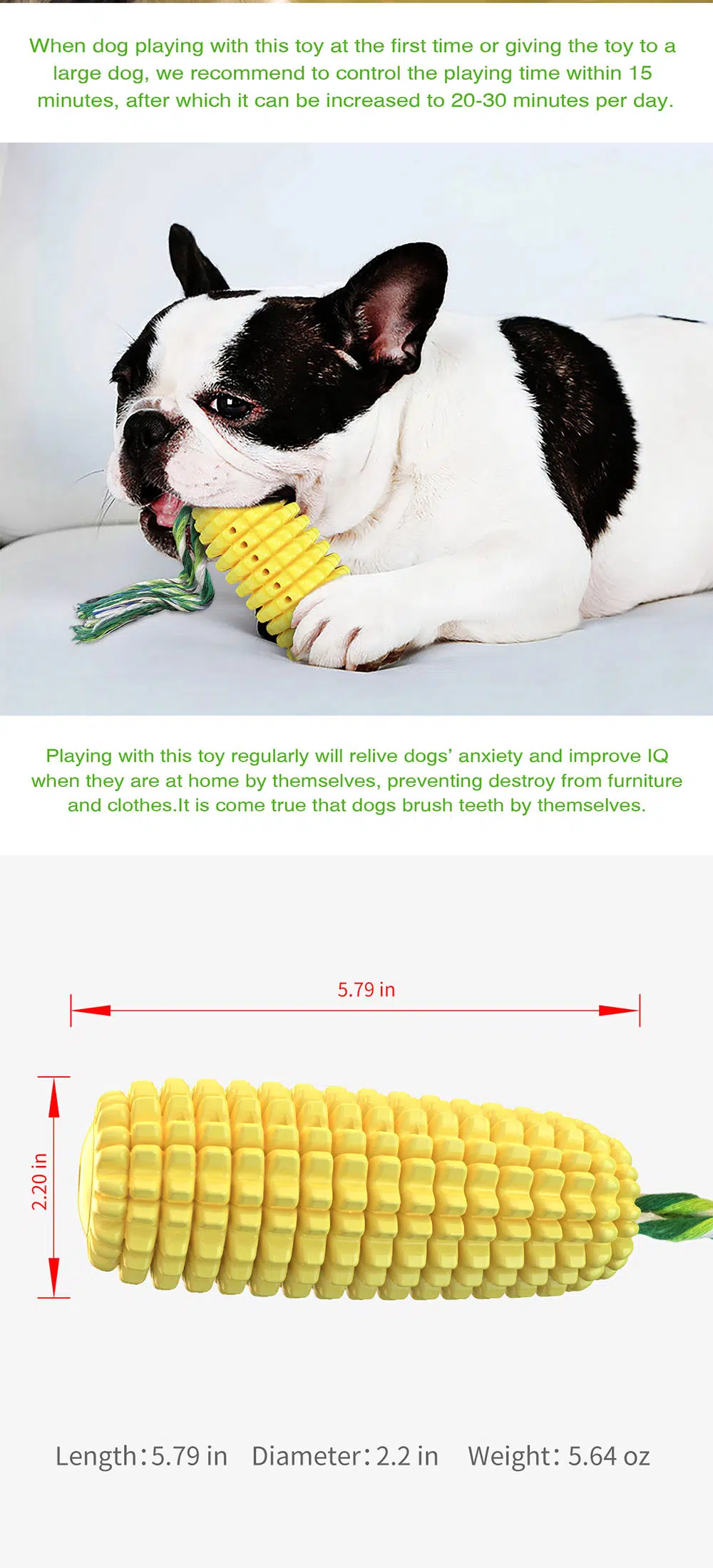 Interactive Dog Toys