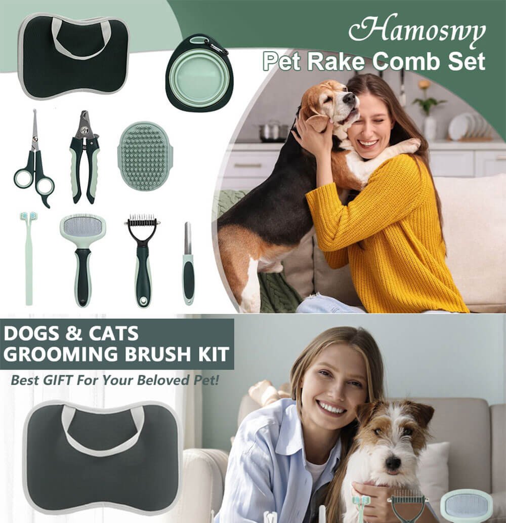Pet Dogs Grooming 01