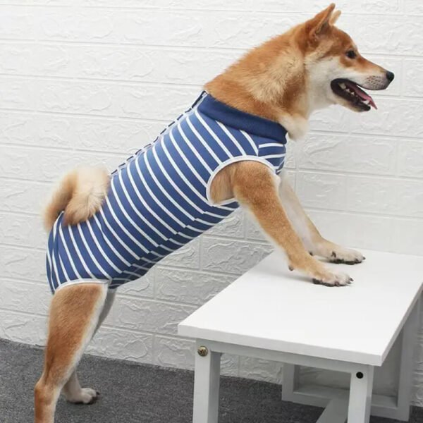 Pet Surgical Recovery Suit5