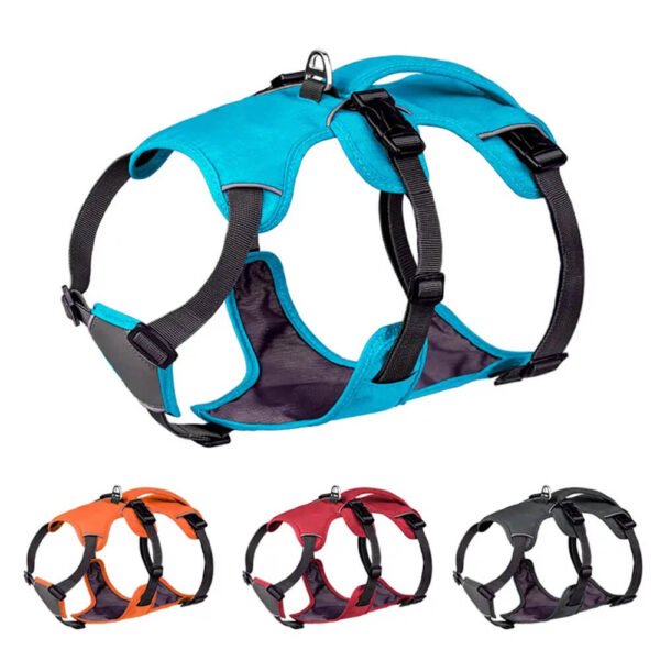 Pitbull dog Harness1