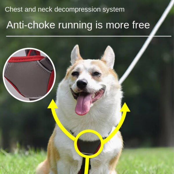 Pitbull dog Harness4