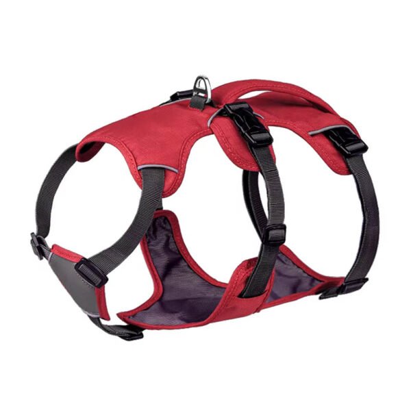 Pitbull dog Harness9