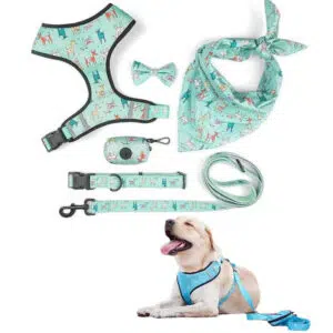 custom Dog Harness Reversible Set 1
