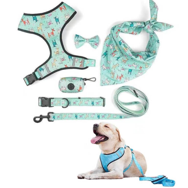 Arnés Reversible Set 1
