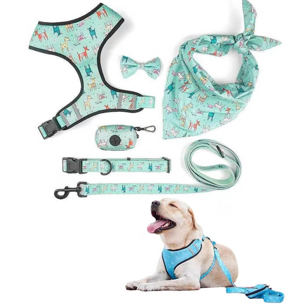 Arnés Reversible Set 1