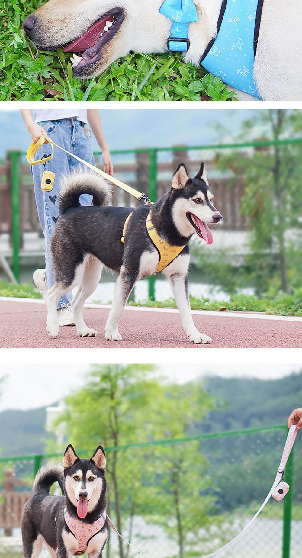custom Dog Harness Reversible Set 05
