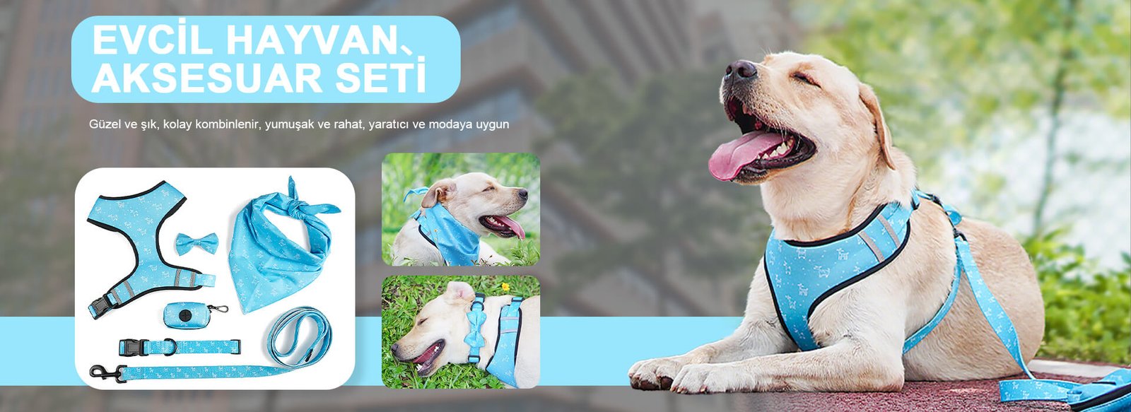 Köpek Tasması