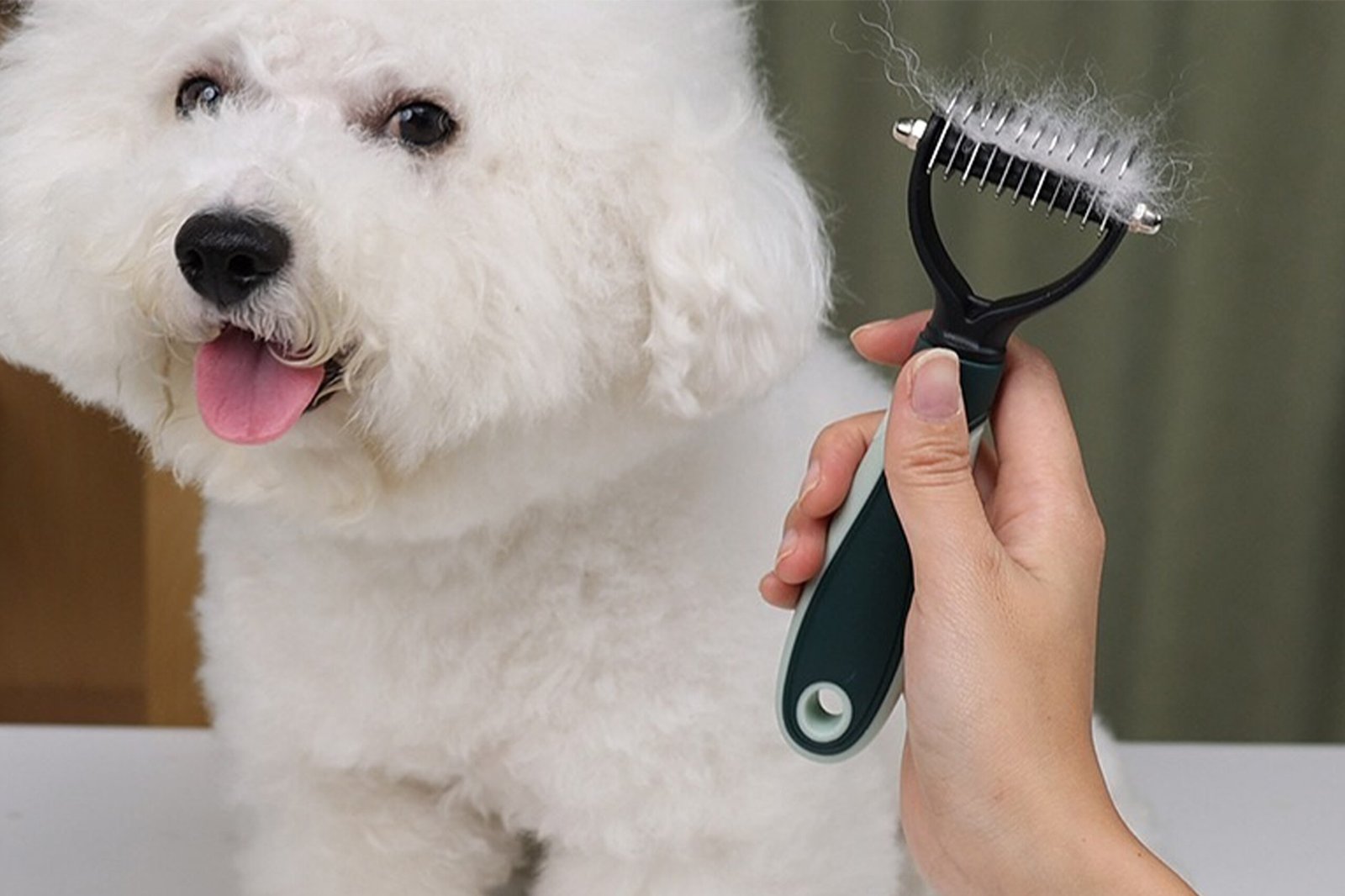Dog Grooming Kit