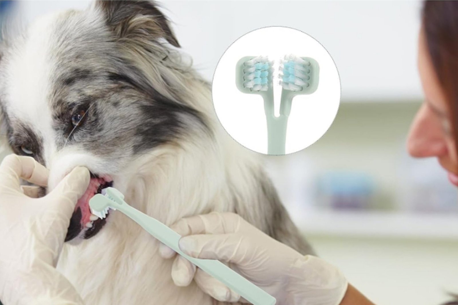 Pet Grooming Tool Kit