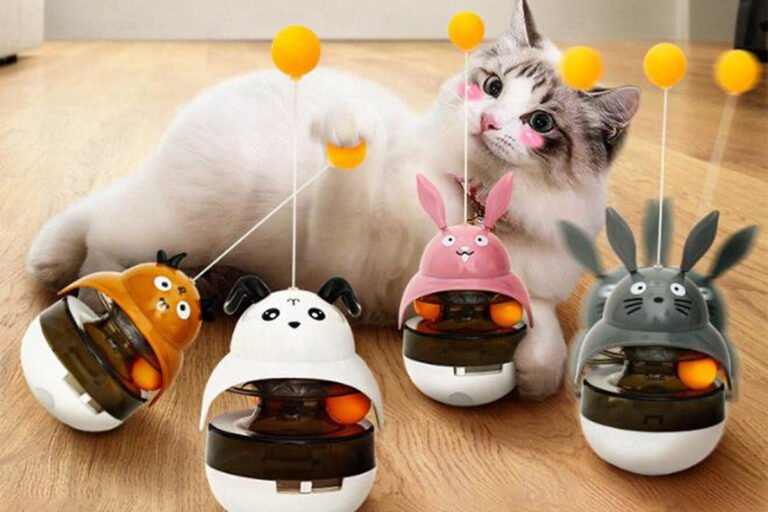 Pet IQ Training toy