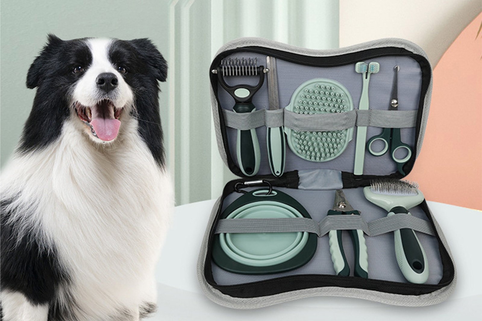 Pet cleaning kit