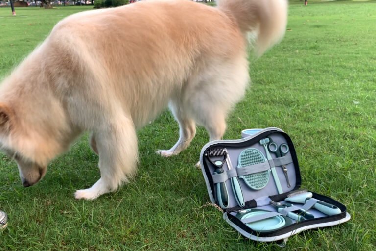 Pet cleaning kit