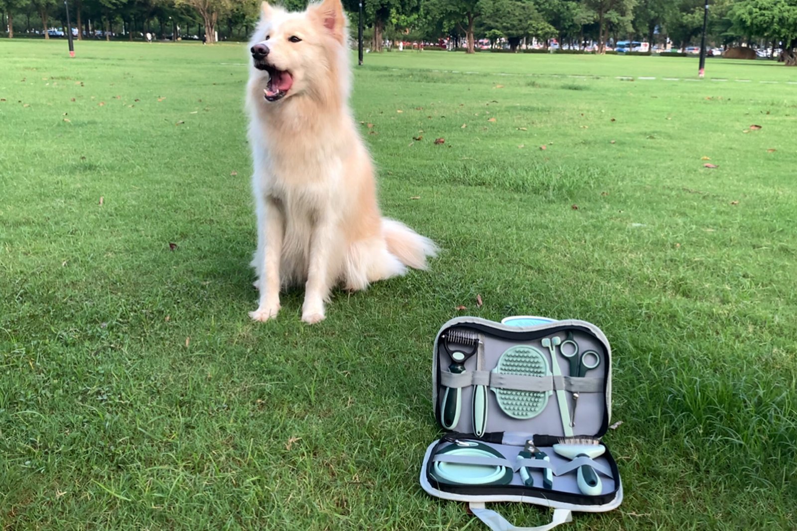 Pet cleaning kit 2