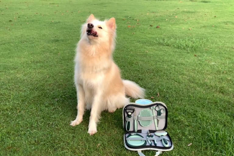 Pet cleaning kit