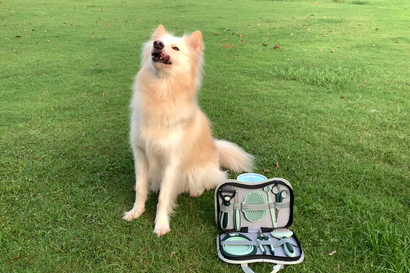 Pet cleaning kit