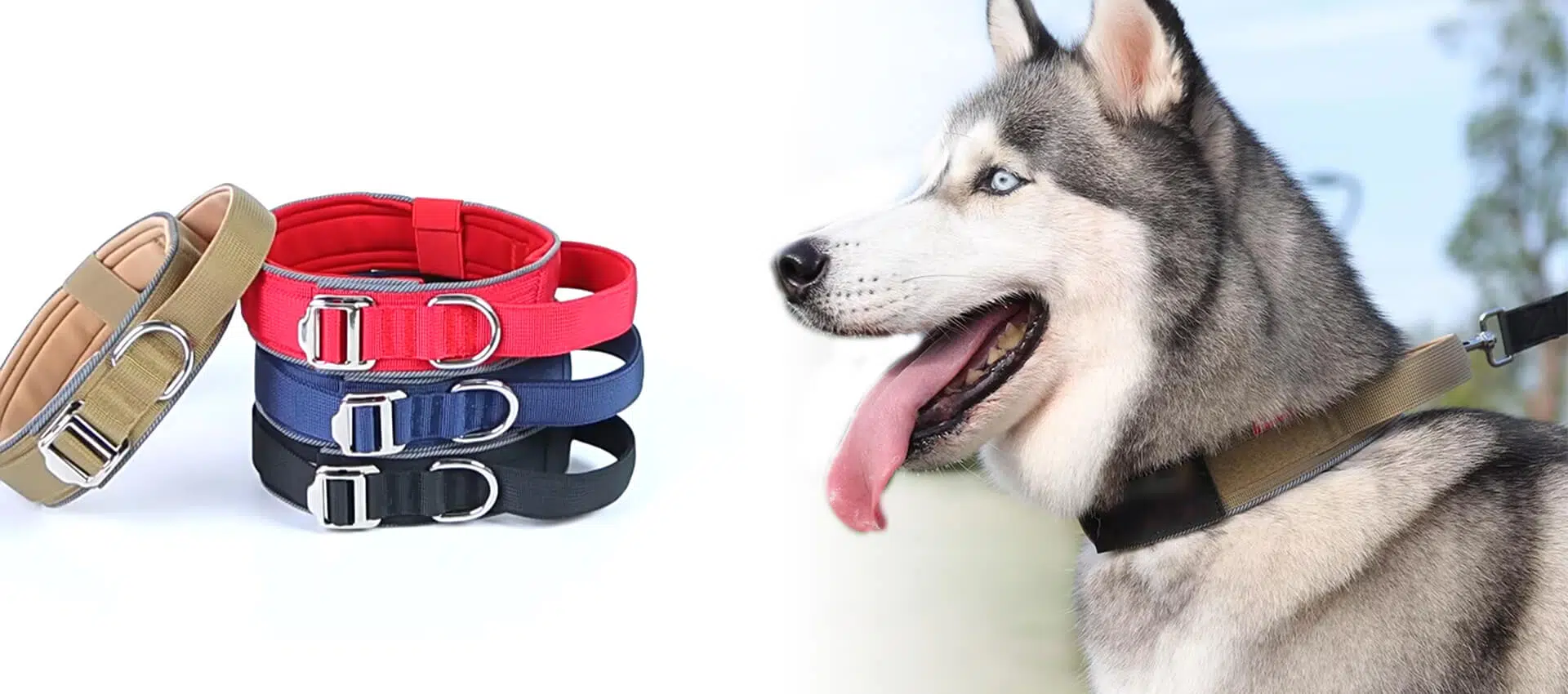Tactical Dog Collar