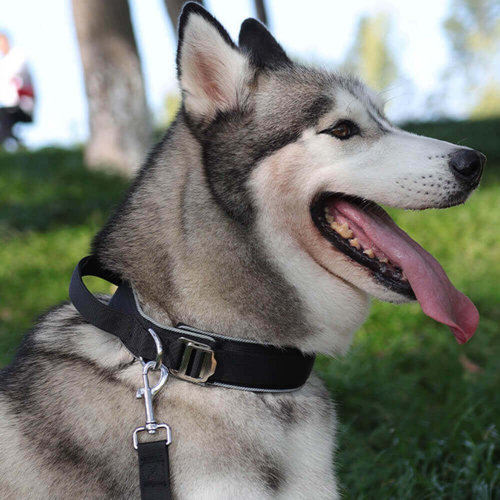 Tactical Dog Collar