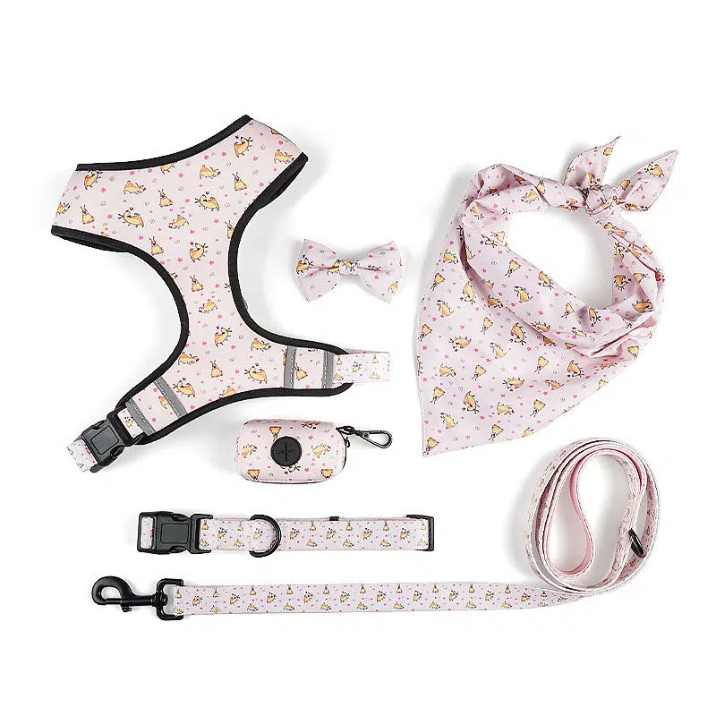 designer Dog Harness set