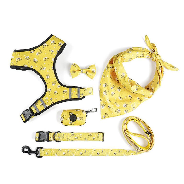 designer Dog Harness set