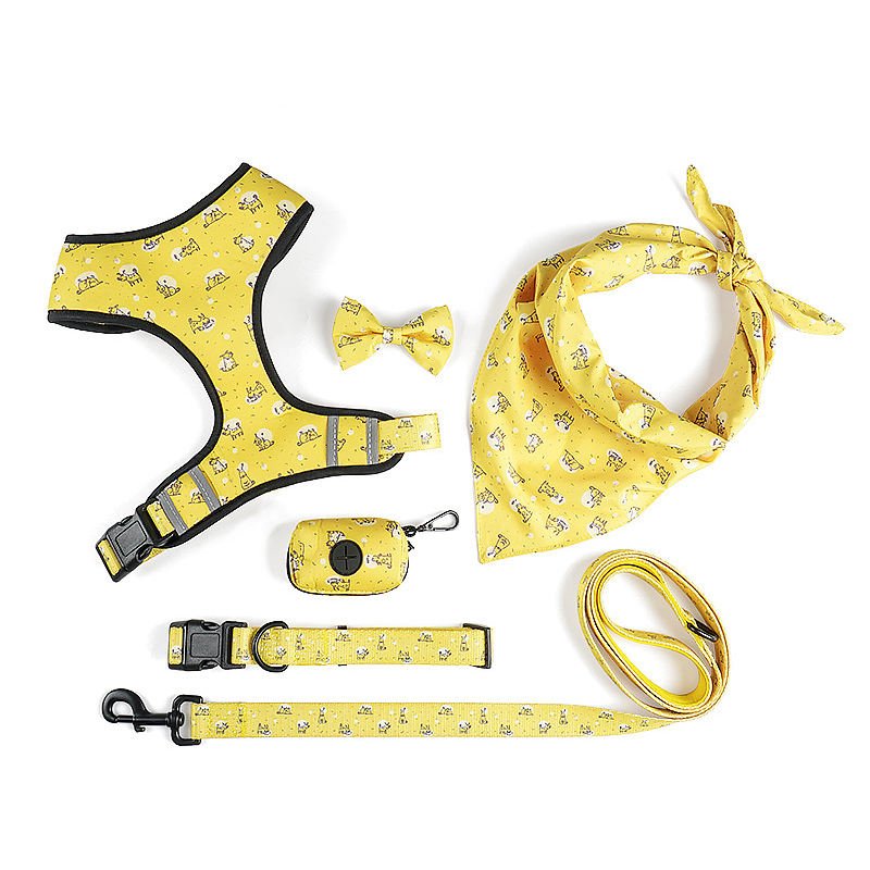 designer Dog Harness set