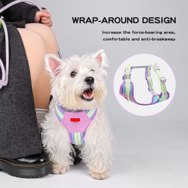 mesh dog harness
