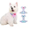 mesh dog harness