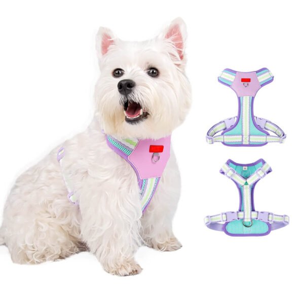 mesh dog harness