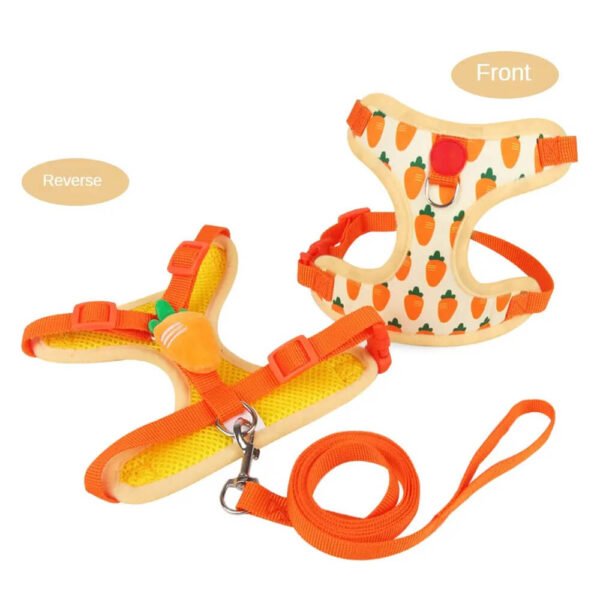 small pet harness leash