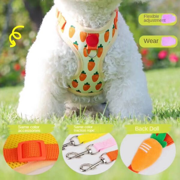 small pet harness leash