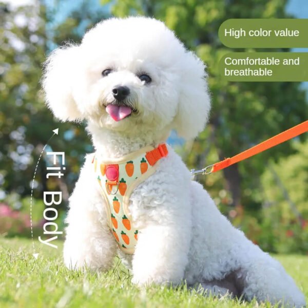 small pet harness leash
