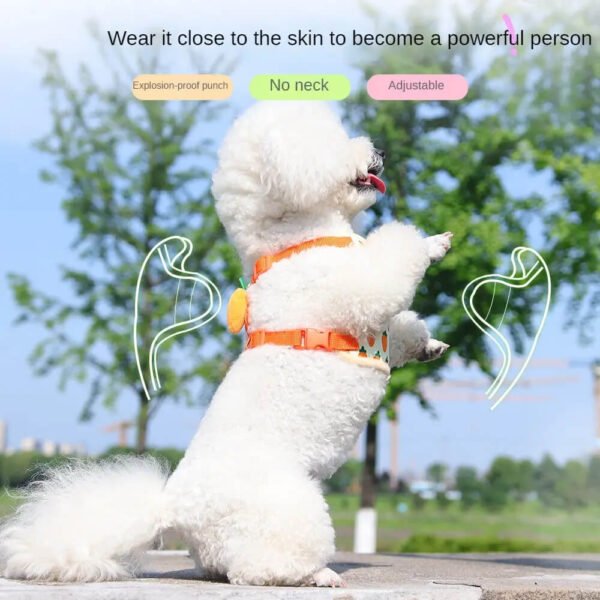 small pet harness leash