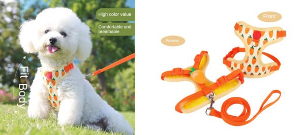 small pet harness leash